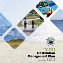 Destination Management Plan thumbnail icon